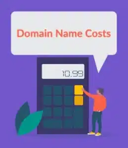 domain name cost domain name cost