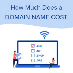 How much does a domain name cost?