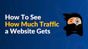 traffic a website gets
