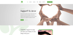 Do you have a checklist for choosing the right NDIS website designer?