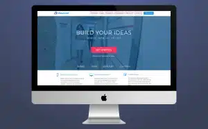 designs and builds websites designs and builds websites