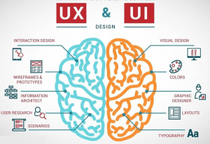 What does an agency designer do?