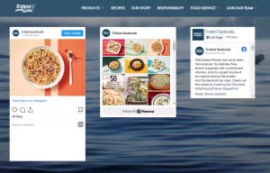 What should a food website have? What should a food website have?