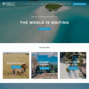 What should be on a travel agent website?