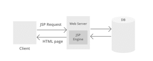 Who writes code for website architecture?
