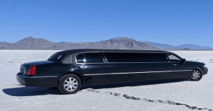 The Future of Limousine Websites