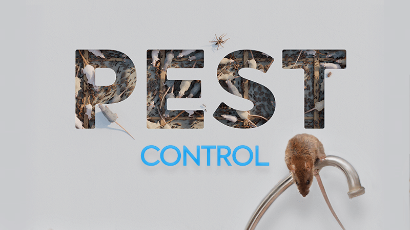 How do I get clients for pest control?