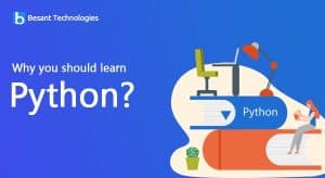 Do I need to learn Python for web development?