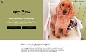Interactive features for your pet grooming website
