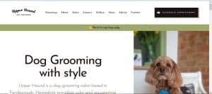 Using examples of pet grooming on your website