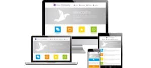 What should a dental website include?