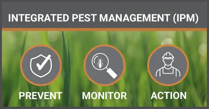 What are the 4 principles of IPM?