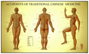 What should i include on my acupuncture website? What should i include on my acupuncture website?
