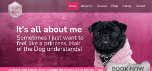 Interactive features for your pet grooming website