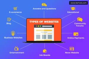 How much money can a successful website make?