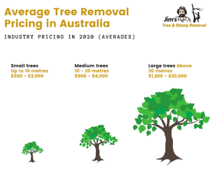 tree trimming services online