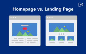 What a landing page looks like?