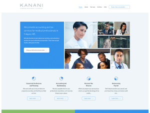 What websites do accountants use?
