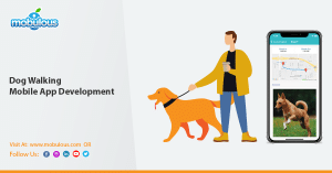 How do you make a dog walking app?