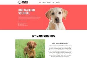 How do I set up a dog walking website?