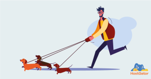 dog walking website