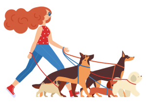 How much should I charge for dog walking?