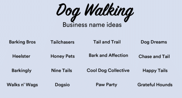 What are some risks of a dog walking business?