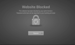 What websites are blocked at school?