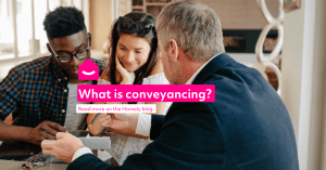 conveyancer website need