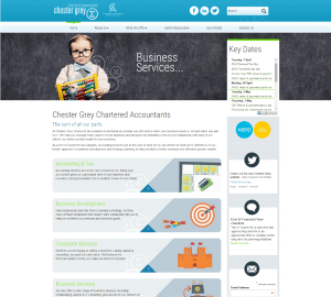 What websites do accountants use?