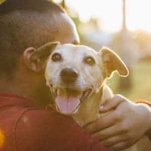 risks of a dog walking business