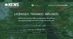 how do i create a tree trimming website how do i create a tree trimming website