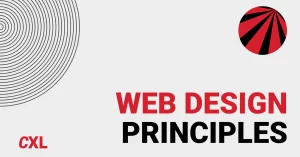 What is the number 1 rule of web development? What is the number 1 rule of web development?