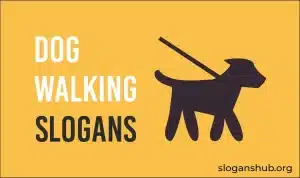 What are some risks of a dog walking business? What are some risks of a dog walking business?