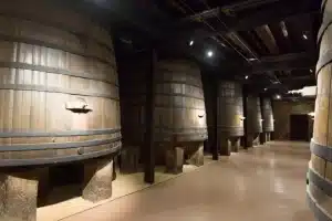 How to design a winery? How to design a winery?