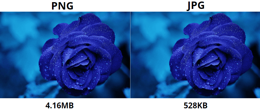 Is PNG or JPEG better for websites?