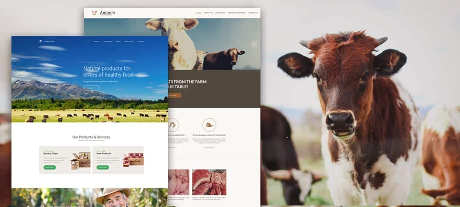 What should my website look like as a farmer?