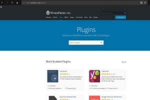 What plugins do you need on a website?