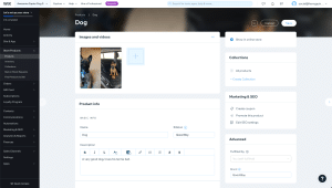 website is best for creating an online store