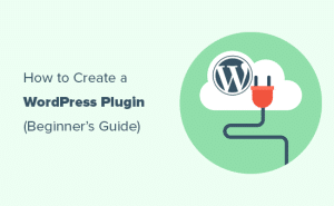 What is a plugin template?