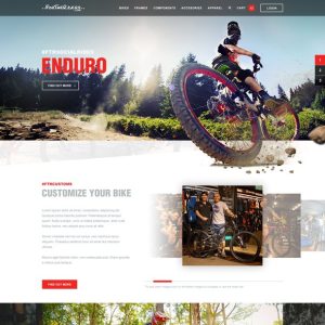 bicycle shop website designs