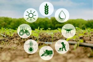 website for farmers
