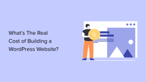 WordPress plugins cost money?