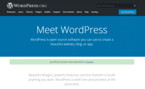 cons of using free website plugins