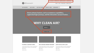 web designers do wireframing