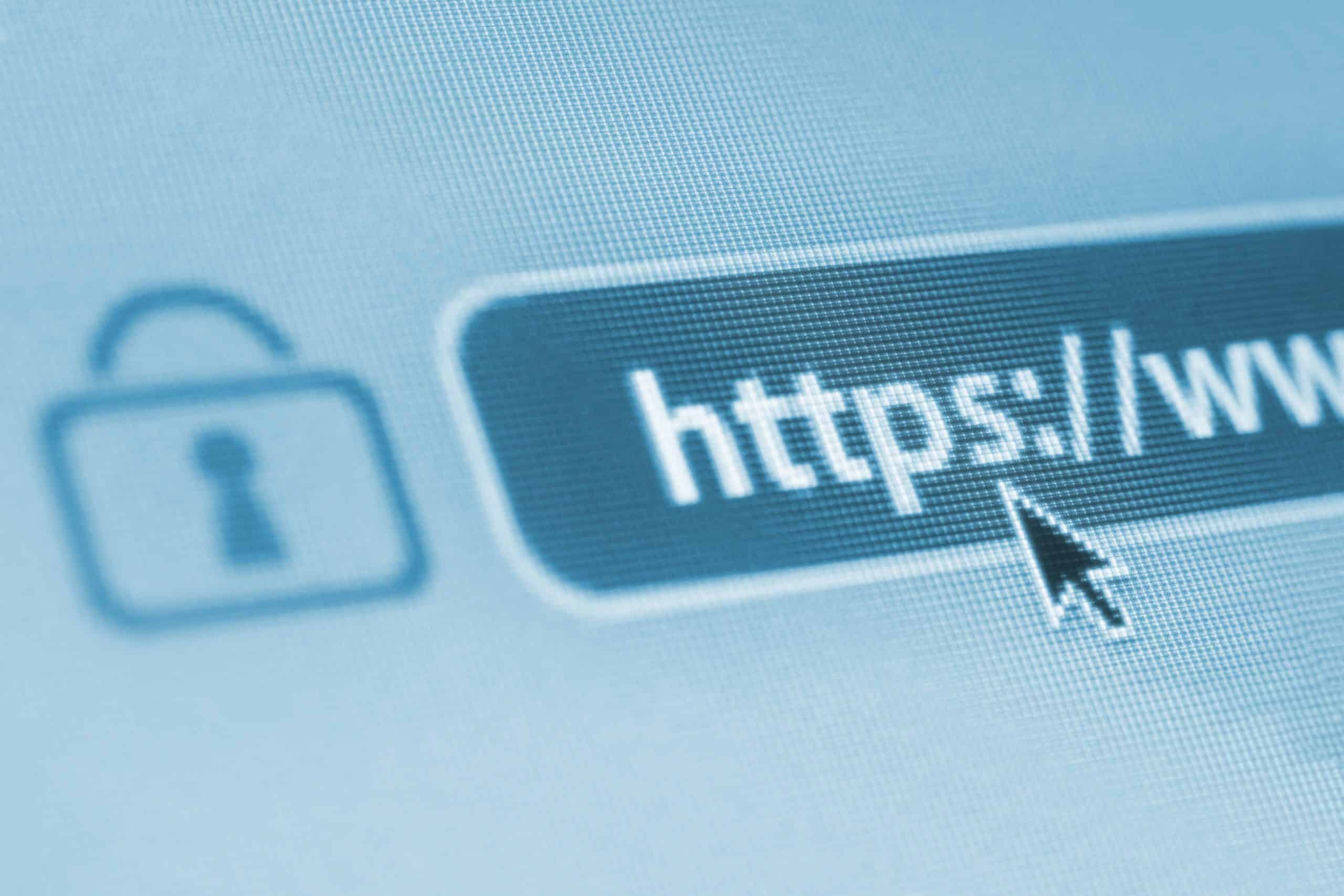 what are the largest website on the internet?