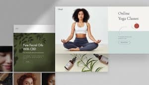 Do professional web designers use templates?