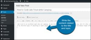 How do you write a post on a website?