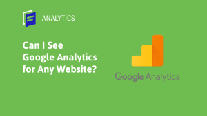 Can Google see my website?