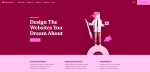 website with Elementor?